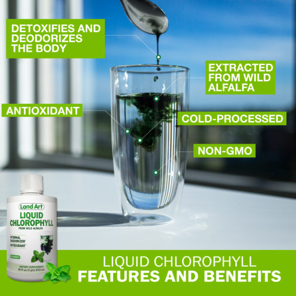 Liquid Chlorophyll Benefits