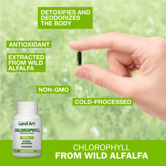 Chlorophyll Capsules Features