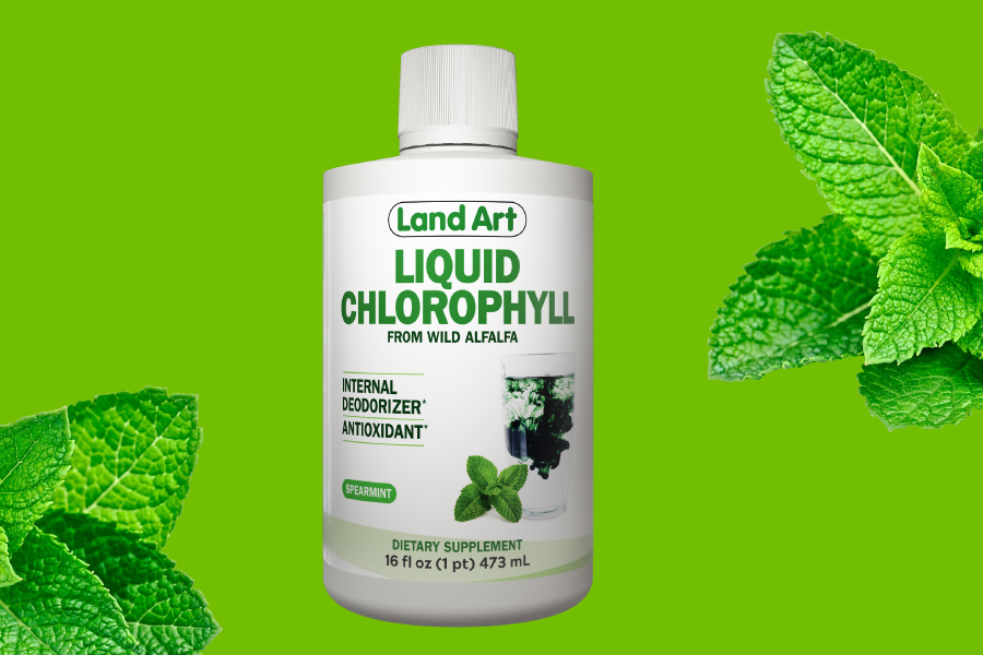 Chlorophyll_mintReg