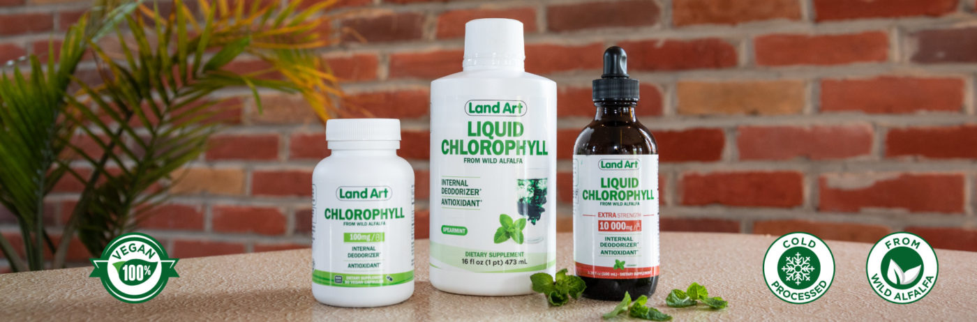 Chlorophyll range return to reality
